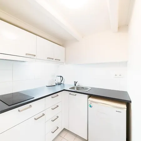 Apartmán Boris' Royal Vinohrady *